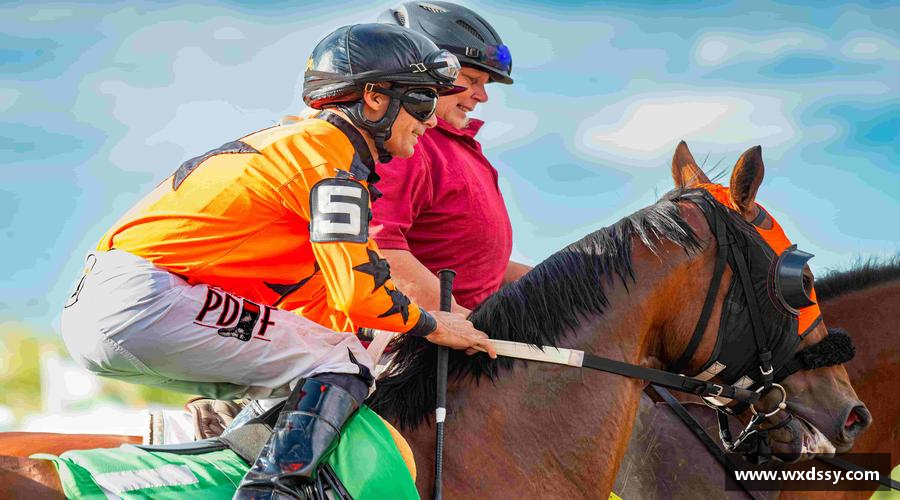 感受挑战，享受成长